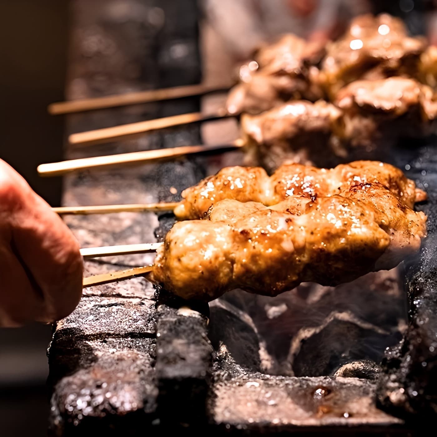 料理写真