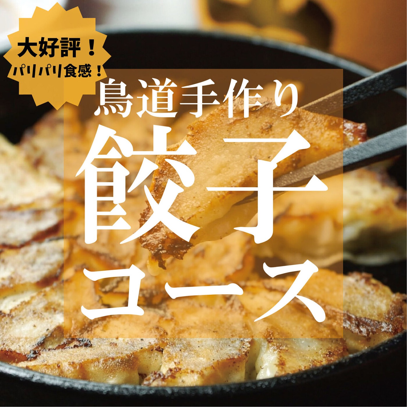 鳥道酒場 上野本店 名物の手作り餃子コース